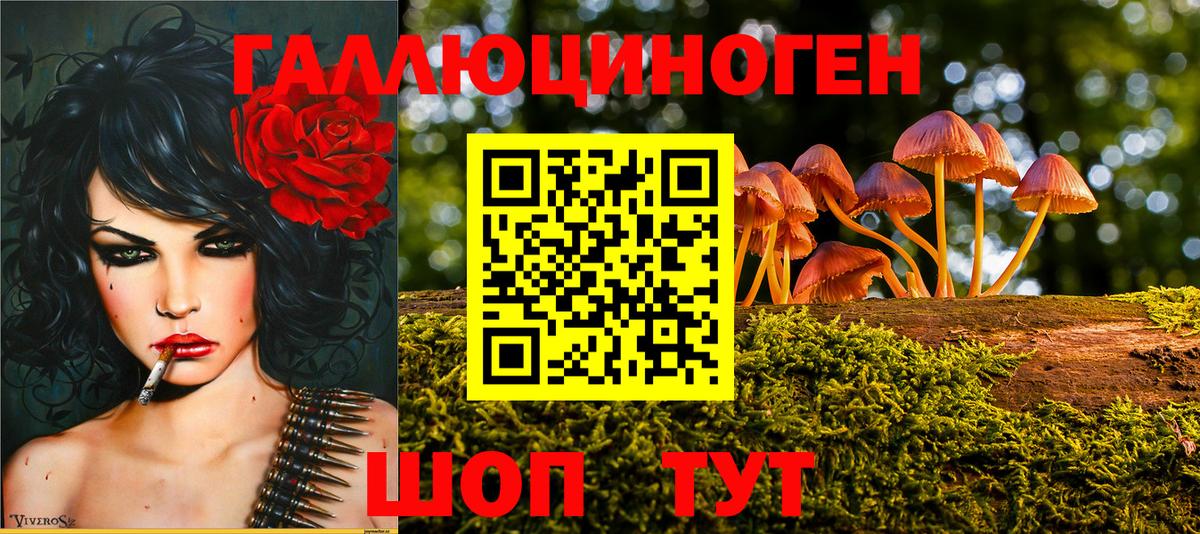 дарнет шоп  Вход с VPN  Псилоцибиновые грибы Psilocybe  Сердобск  Псилоцибиновые грибы мицелий 
