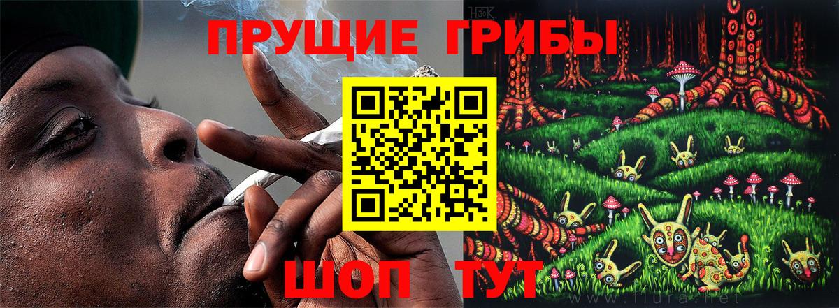 Псилоцибиновые грибы MAGIC MUSHROOMS Сердобск